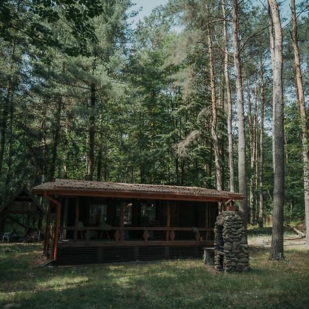 Forest Cabin - 50Min Od Warszawy Wola Polska Bagian luar foto
