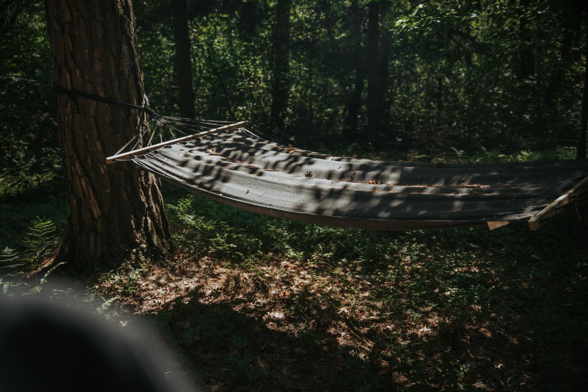 Forest Cabin - 50Min Od Warszawy Wola Polska Bagian luar foto