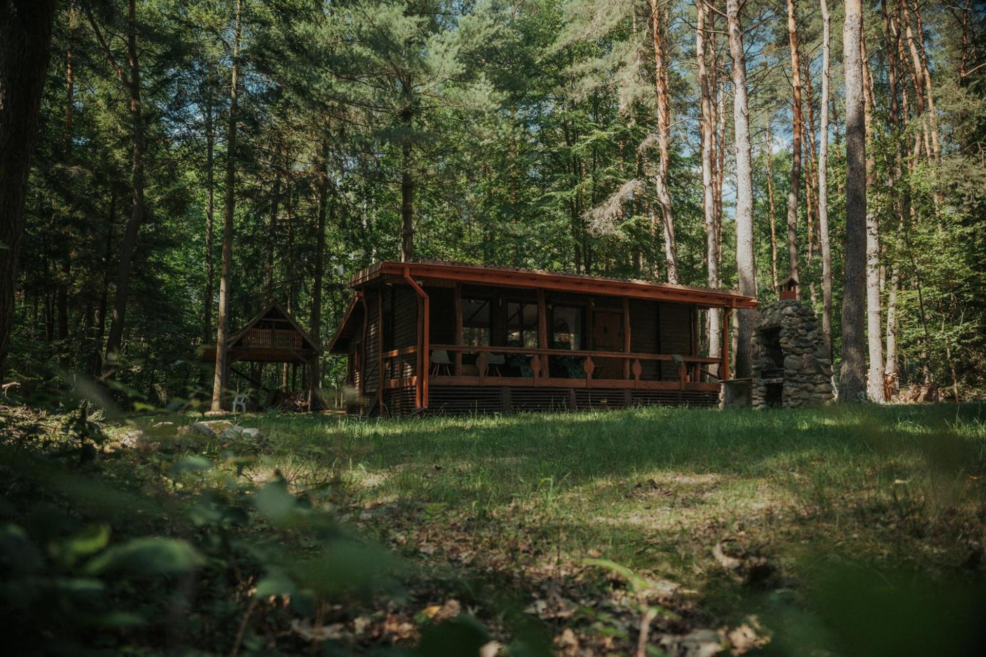 Forest Cabin - 50Min Od Warszawy Wola Polska Bagian luar foto