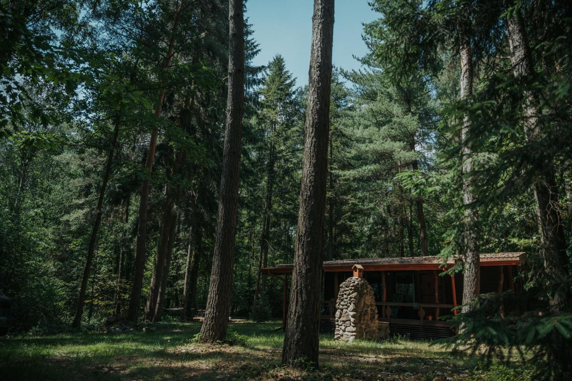 Forest Cabin - 50Min Od Warszawy Wola Polska Bagian luar foto