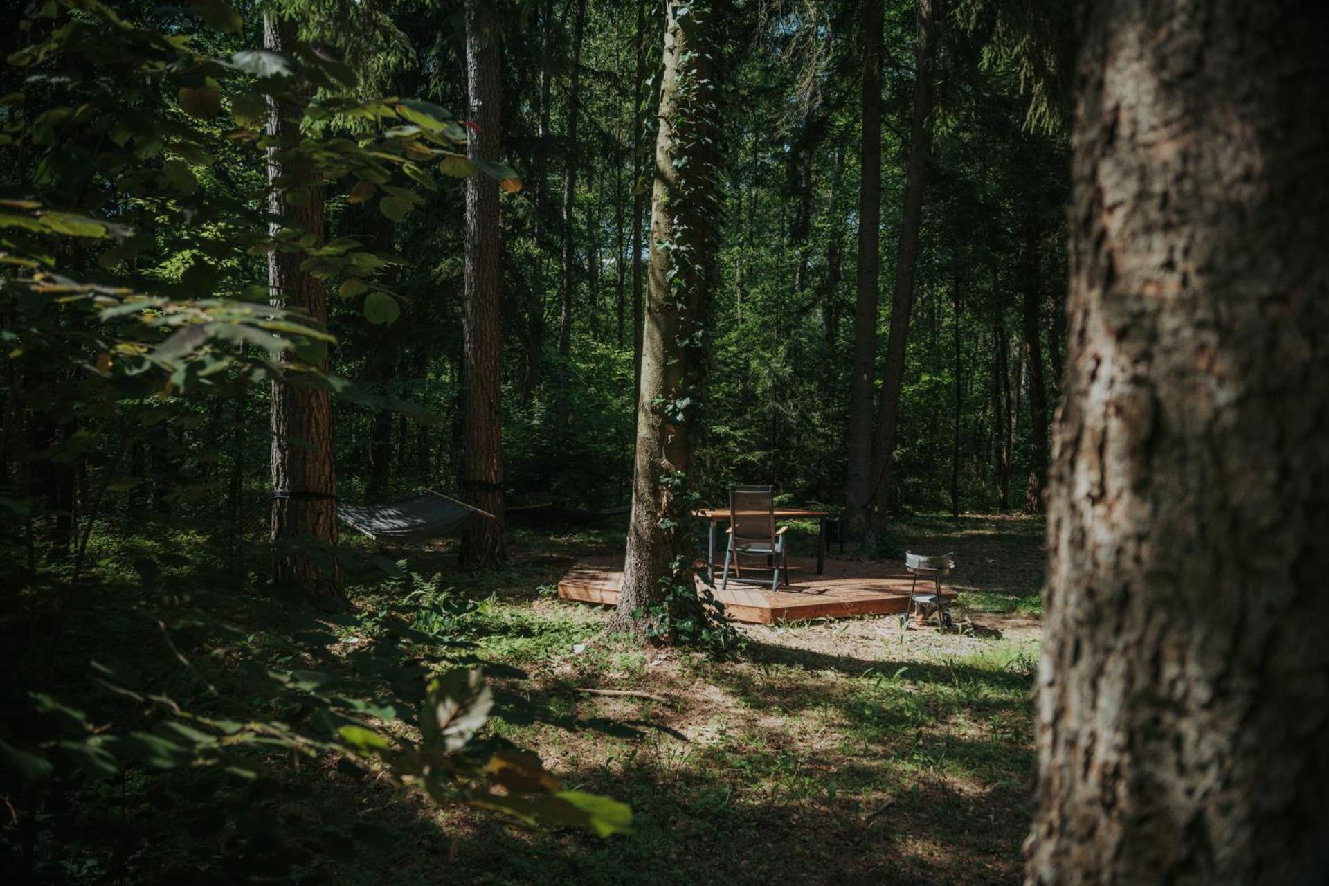 Forest Cabin - 50Min Od Warszawy Wola Polska Bagian luar foto