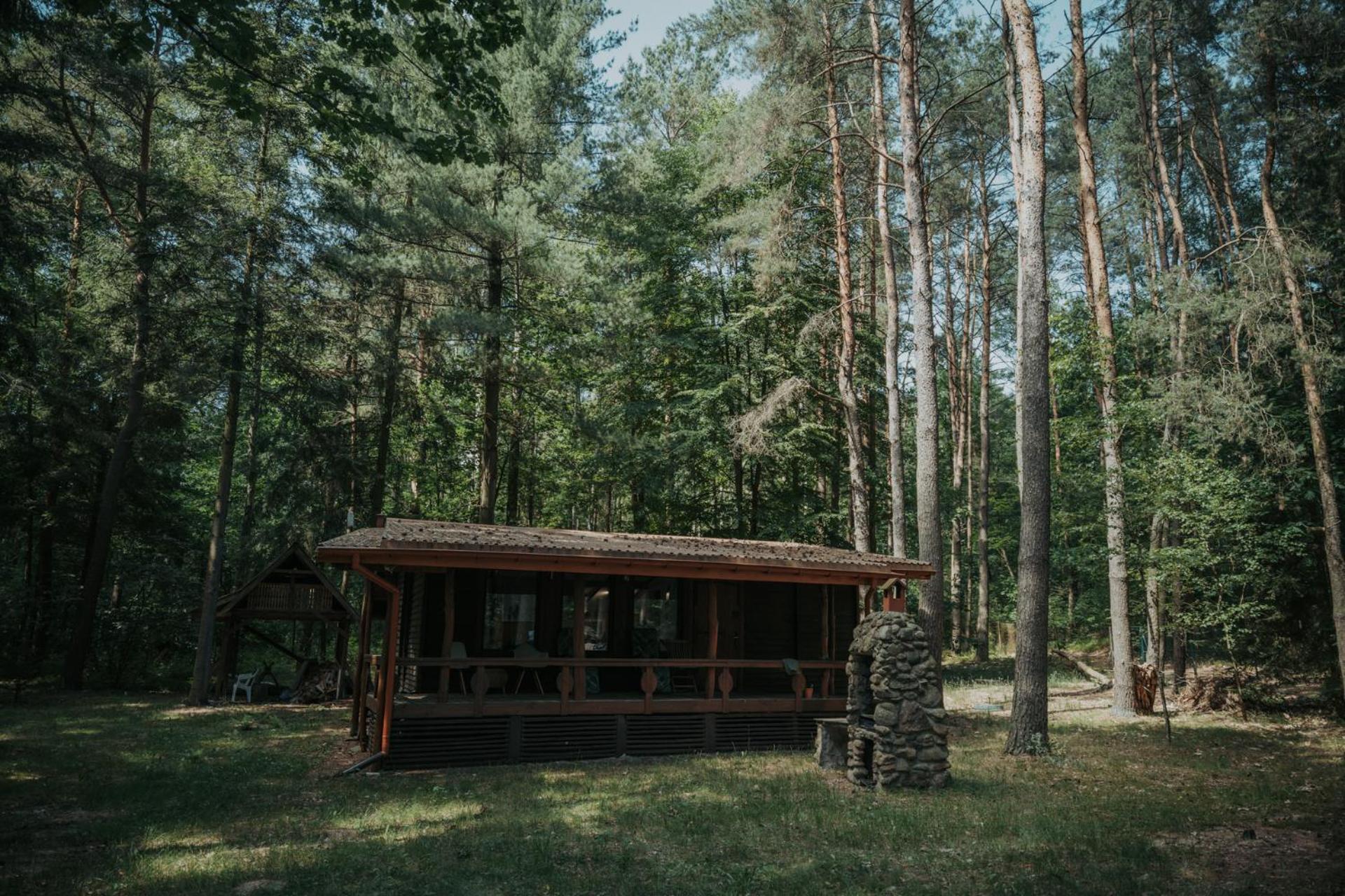 Forest Cabin - 50Min Od Warszawy Wola Polska Bagian luar foto